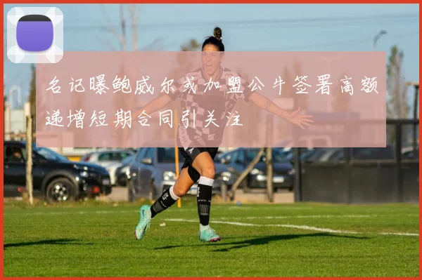 名记曝鲍威尔或加盟公牛签署高额递增短期合同引关注